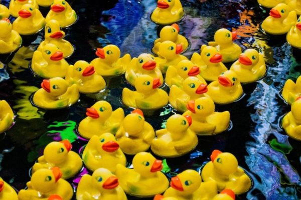 Neobvyklá námořní nehoda: do oceánu se vylilo více než 28 000 gumových kachniček